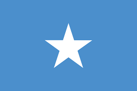 The flag was raised at city hall by mayor frank e. Somali Flag Flag Of Somalia