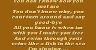Uncle Kracker Follow Me Lyrics There S No One Like Me Lol So Follow Me If You Want A Friend That Is A Silly Devoted H Me Too Lyrics Music Video Song Lyrics