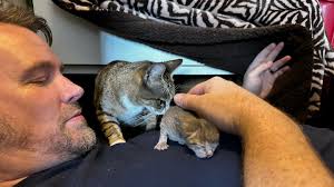 Michael-David Imhof Carpenter (@itsmichaeldavid) • Instagram photos and  videos