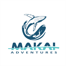 Maui Whale Watching Tours | Maui Snorkeling Tours | Maui Fishing