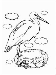 All stork coloring page click with pages view printable version color online compatible ipad android. Stork On Nest Coloring Page Coloringbay