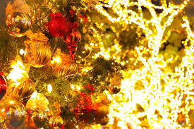 We did not find results for: Christmas Christmas Tree Macro Ornaments Lights Holiday Night Bokeh Blur Red Gold Golden Tree Trees Ribbon Colorful Color Circles Pine Season Seasonal Winter Merry By Ryo N Photo Stock Snapwire