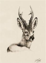 Epingle Par Finn Lerbs Sur Zhivotnye Barokko Dessin Chasse Cerf Dessin Dessin Sanglier