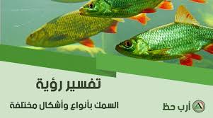 تفسير حلم السمك هل يختلف تفسير السمك حسب لونه وحجمه في المنام ارب حظ