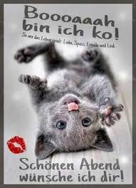 Wähle einfach das gewünschte bild aus der kategorie lustige dienstag bilder und klicke auf einen der darunter angezeigten codes. Gute Nacht Bilder Kostenlos Lustig Gb Bilder Gb Pics Gastebuchbilder