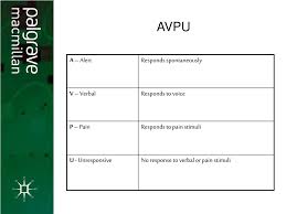 Ppt Neurological Assessment Neurological Assessment