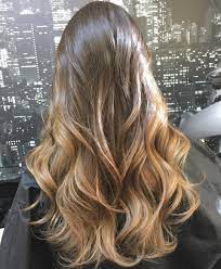 Brown Ombre Hair Best Ombre Hair Ombre Hair Light Hair Color