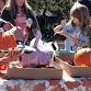 Pumpkin Painting in North Augusta event image