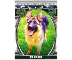 Police Dog Killed During Collision Officers Injured After Suspect Flees Dwi Checkpoint