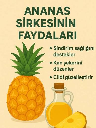 Ananas Sirkesinin Faydaları ve Kullanım Alanları