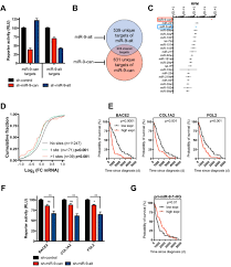 Maybe you would like to learn more about one of these? Structural Differences Between Pri Mirna Paralogs Promotes Alternative Drosha Cleavage And Expands Target Repertoires Biorxiv