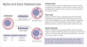 Alpha And Beta Thalassemias Clinical Chemistry Beta Thalassemia Hematology