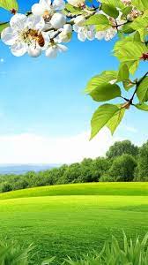Account Suspended Beautiful Landscape Wallpaper Beautiful Nature Pictures Attractive Wallpapers