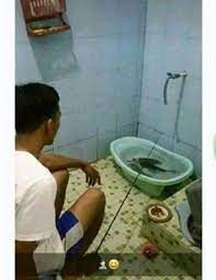 10 Potret Kelakuan Absurd Orang Di Kamar Mandi Bikin Ngakak