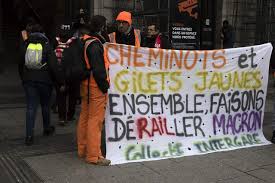 Ihr hund hat zecken, obwohl sie nicht mit ihm im wald spazieren waren? Zecken Im Garten Vernichten Schon Demokratisch Links 2019 Februar Garten Anlegen