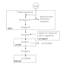 Vitamin D In Health And Disease Current Perspectives Nutrition Journal Full Text