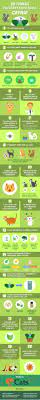 What Is Catnip Is Catnip Safe For My Cat Catnip Cat Care Tips Cat Owners