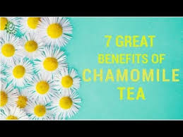 To get this chamomile benefit, simply drop 0.5 milliliters of a mixture of the above ingredients into a glass of water and swish it slowly in your mouth to make chamomile tea, steep a chamomile tea bag or dried chamomile flowers in hot water for 5 to 10 minutes, and drink the infusion when it has. 13 Best Benefits Of Chamomile Tea Organic Facts