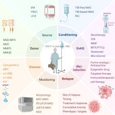 Circular infographic on hematopoietic stem cell transplant in pediatric AML: donor selection, conditioning, disease monitoring, and relapse management