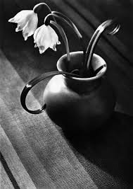 Labrancaro Max Baur Soulhearts Stunning Photography Still Life Photography Still Life Art