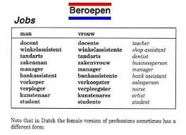 Dutch Beroepen