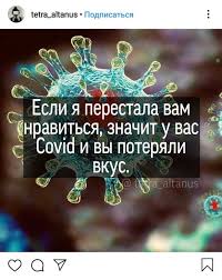 Но пока она доступна не всем. Top 5 Shutok Pro Koronavirus Iz Socseti Ponravivshihsya Zhitelyam Habarovska I Kraya Mk Habarovsk