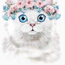 رمزيات صور خلفيات فن رسم ديكوباج كيوت Art Cute Beautiful رمزيات صور خلفيات فن رسم ديكوباج كيوت Art Cute Beautiful Kids Rugs Decor Cute