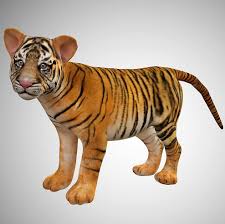 Baby tiger videos in this cute baby tigers video. Baby Tiger Cub 3d Model Rigged Low Poly Game Ready Team 3d Yard
