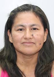 Antecedentes de Otorongos Elecciones 2022