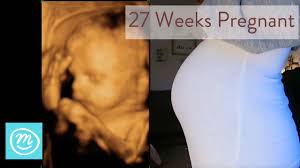 27 Weeks Pregnant What To Expect Channel Mum
