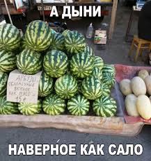 от работы дохнут кони ну а я бессмертный пони Arbuzy Mem Prikol Shutka Yumor Vegetables Artichoke Food
