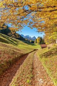 Autumn Colors Autumn Landscape Autumn Scenery Nature Photography