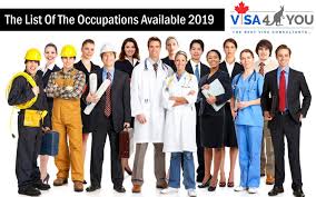 Dama Australia Occupation List 2019 Public Service Loan Forgiveness Loan Forgiveness Federal Skilled Worker