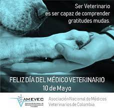 Actualmente, la escuela como tal ya no existe, pero pasó. Amevec Colombia On Twitter Ser Veterinario Es Ser Capaz De Comprender Gratitudes Mudas Feliz Dia Del Medico Veterinario Les Desea Ameveccolombia Https T Co 1s9xosvtlx