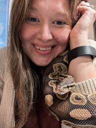 Reptile expo experience with ball pythons