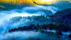 Support us by sharing the content, upvoting wallpapers on the page or sending your own. Photography Landscape Nature Mist Morning Mountains Forest Pagoda Sunlight Japan Hd Wallpaper Wallpaperbetter