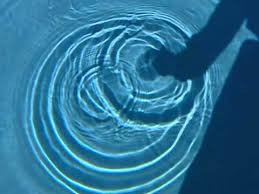 Buy ripple on 81 exchanges with 243 markets and $ 1.82b daily trade volume. Slow Motion Water Ripples Youtube