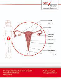 Die impfung mit gardasil® soll frauen vor krebs des gebärmutterhalses schützen. Orientierungshilfe Zur Hpv Impfung Fgz Karnten