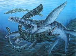 Look At Those Sea Monsters What Are They Names Follow Yasaure Follow Yasaure Prehistoric Animals Sea Monsters Ancient Animals