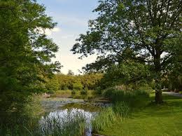 Kostenloses Bild Auf Pixabay Botanischer Garten Hamburg Park Botanischer Garten Kostenlose Bilder Bilder