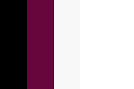 Gray is much more than just a combination of black and white. Black Burgundy Light Grey White Color Palette