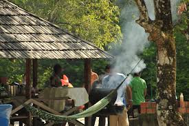 Check spelling or type a new query. Tourism Foundation Suriname Colakreek Recreation Park