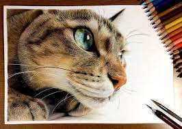 By using different kinds of pencils crayons and chalk artists can create these wonderful cat drawings. 23 Hyper Realistic Artworks Of Cats That Are Hard To Believe Aren T Photographs By A Japanese Artist Bored Panda