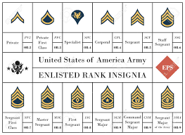 Vector Collection Of United States Of America Army Enlisted Rank