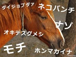インディゴになりたい。 広告ありがとうございます。 変質者の霊でしょ かお www 急に怖いなぁw でかすぎだろwww w くっせー じゃあランキングに載せるな なんで全部カツドンなんだよ wwwwwwwwwwwwwww かわいいw wwwwwwwww wwww. è¡æ'ƒ ã‚ã¾ã‚Šã«ã‚‚åå‰ãŒãƒ¦ãƒ‹ãƒ¼ã‚¯ã™ãŽã‚‹ã'ã©ã‹ã‚ã„ã„ç«¶èµ°é¦¬35é€£ç™º ç«¶é¦¬ç•Œã®ã‚­ãƒ©ã‚­ãƒ©ãƒãƒ¼ãƒ ã‚„ è¨˜äº‹è©³ç´° Infoseekãƒ‹ãƒ¥ãƒ¼ã‚¹