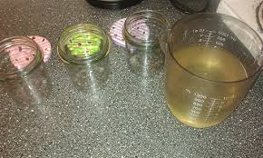 How to make liquid culture from a spore syringe. Growing A Liquid Culture From Dried Mushroom Cultivation Welcome To The Dmt Nexus