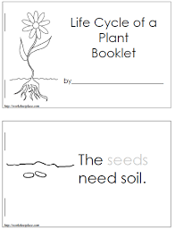 We did not find results for: Life Cycle Worksheet Plant Life Cycle Worksheets