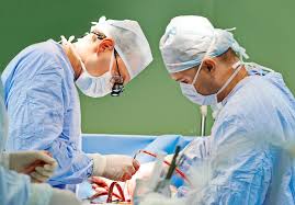Image result for Transplantation