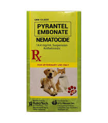 We did not find results for: Pyrantel Embonate Nematocide Anthelmintic 60ml Dog And Cat Dewormer Pet Warehouse Philippines