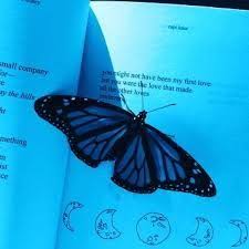 High quality blue butterfly aesthetic gifts and merchandise. Image Result For Blue Butterfly Aesthetic Blue Butterfly Blue Aesthetic Blue